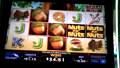 Nuts for Nuts Slot Machine Bonus